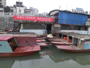龍川縣畜牧獸醫漁業局 推動畜牧漁業飼料銷售，助力現代農牧業發展