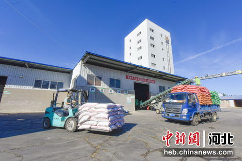 河北廣陽 以優質飼料品牌建設為引擎，驅動畜牧漁業高質量發展