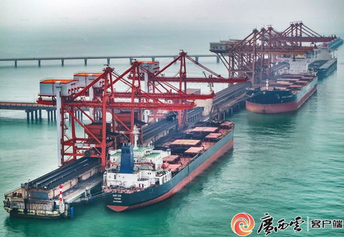 廣西鋼鐵集團 以高品質產品通過多項國際認證，助力畜牧漁業飼料銷售